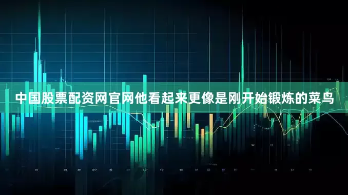 中国股票配资网官网他看起来更像是刚开始锻炼的菜鸟