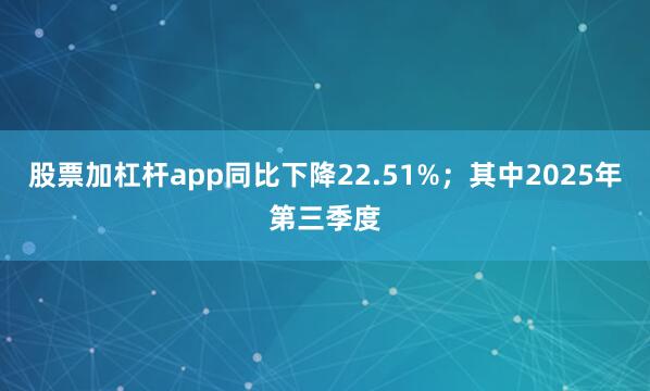 股票加杠杆app同比下降22.51%；其中2025年第三季度